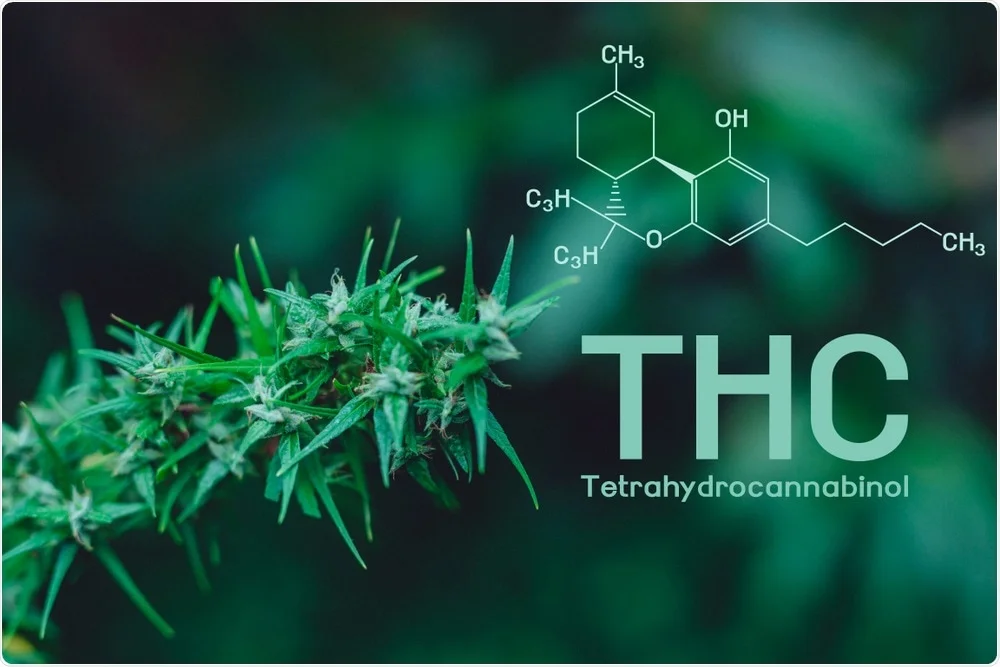 Orice produs cu THC este considerat drog de risc. Cum cumperi CBD legal în România? 1 Formula chimică THC (Tetrahidrocanabinol) explicată vizual pe un fundal cu frunze de canabis.